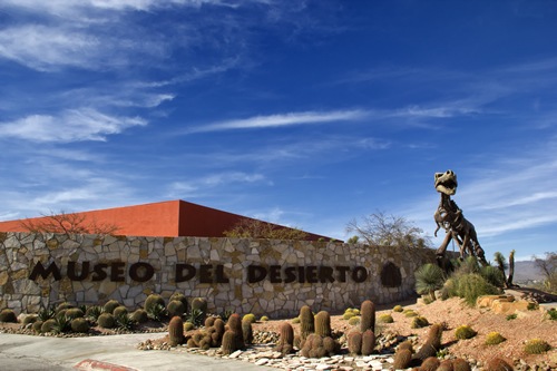 museo del desierto