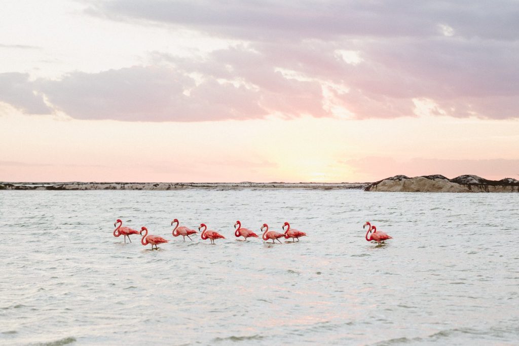 las-coloradas