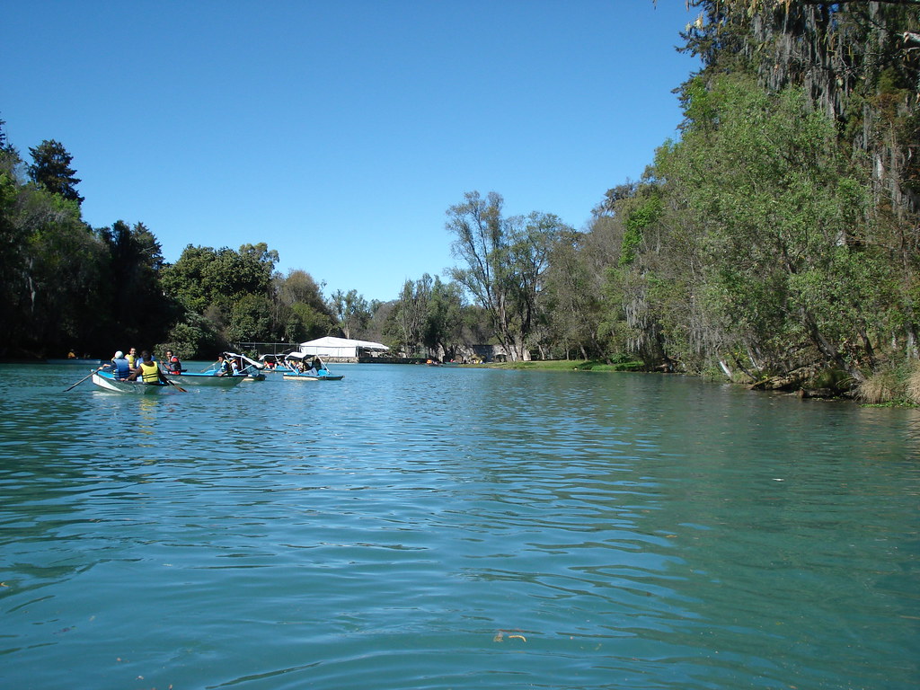 bosque-de-las-truchas