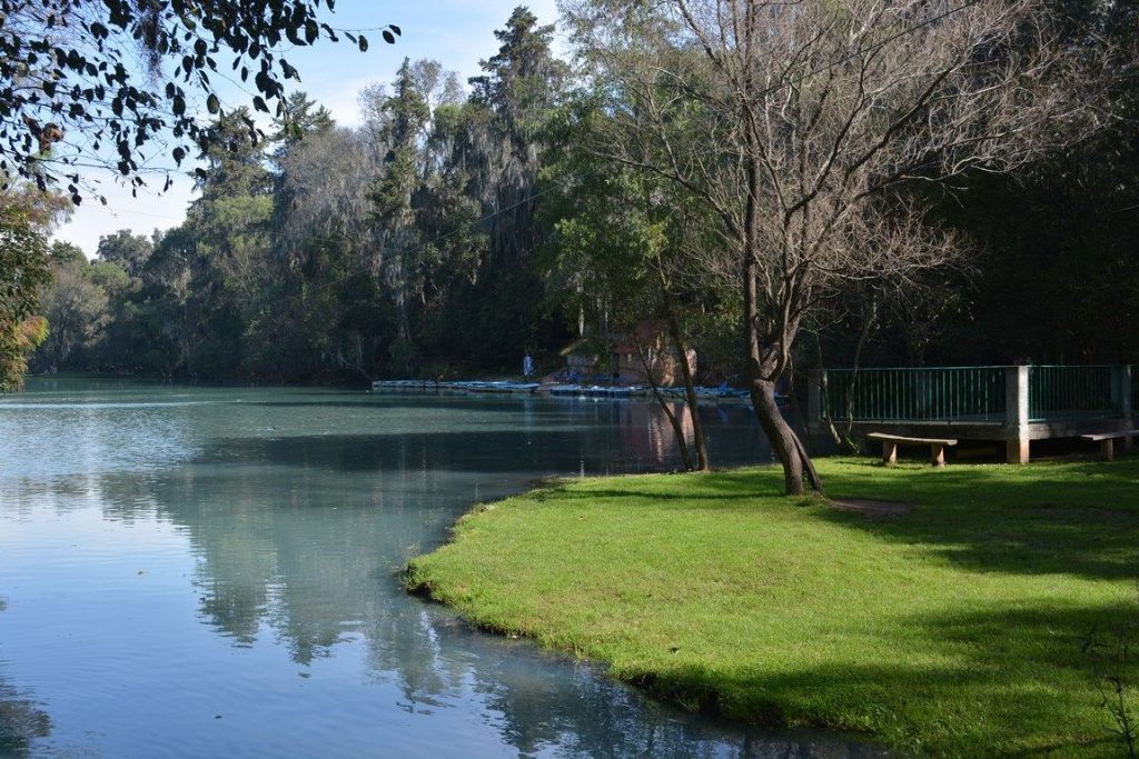 bosque-de-las-truchas