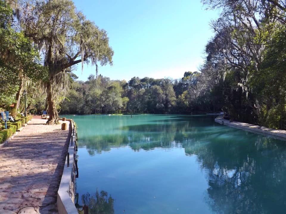 bosque-de-las-truchas