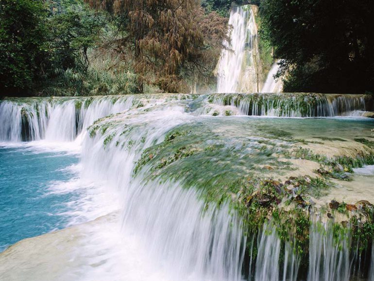 cascadas-de-micos