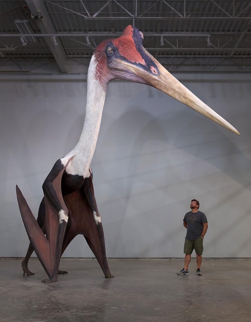 quetzalcoatlus