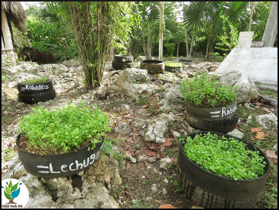 centro-ecoturistico