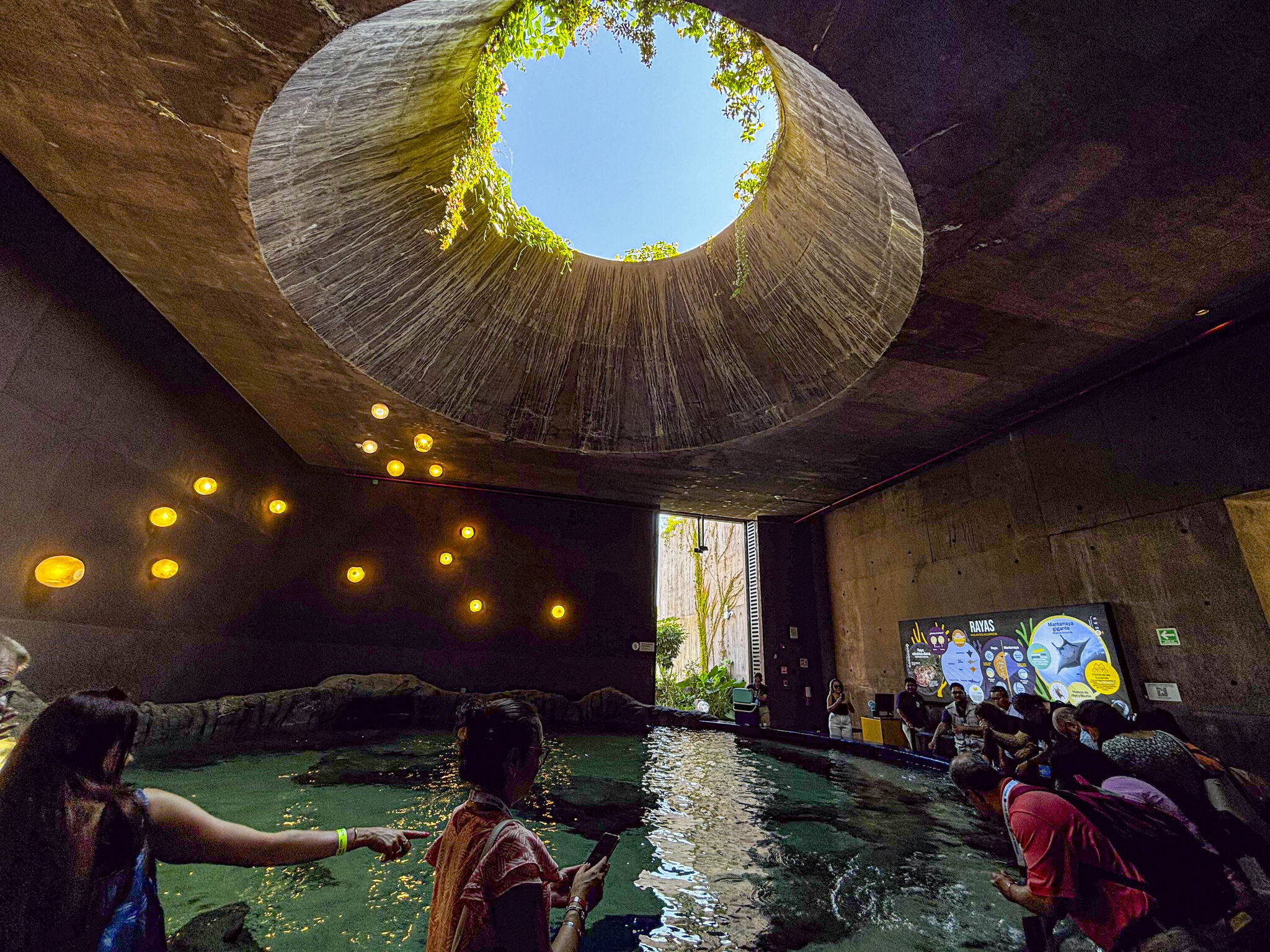 Así es el nuevo Gran Acuario de Mazatlán, el más grande de toda América ...