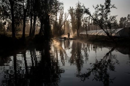 La Noche del Axólotl en Xochimilco, una escalofriante velada con ofrendas