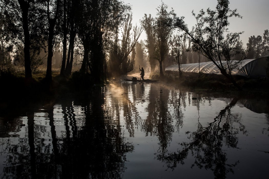 La Noche del Axólotl en Xochimilco, una escalofriante velada con ofrendas