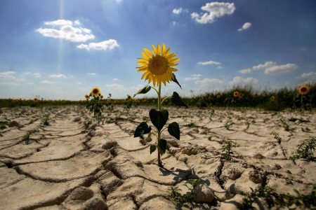 10 consejos prácticos y sencillos para contribuir a reducir el cambio climático