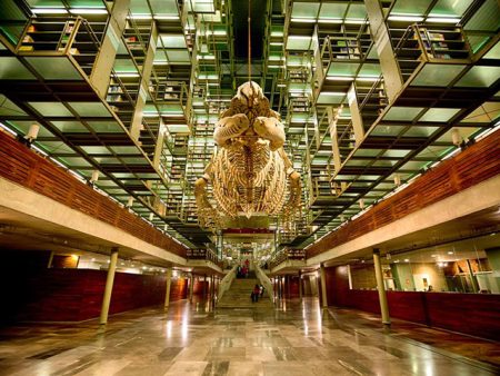 Las 5 bibliotecas más hermosas de la Ciudad de México