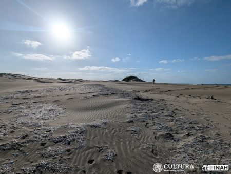 Descubren montículos de concheros y ofrendas funerarias en la Isla de Macapule