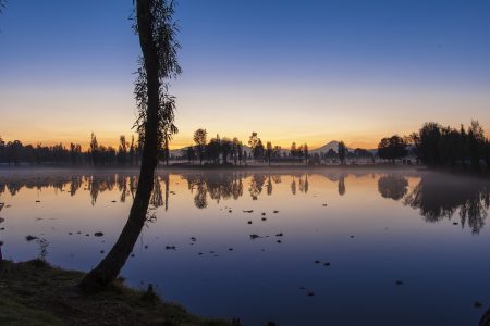 Xochimilco: la imagen de un paraje lacustre prehispánico