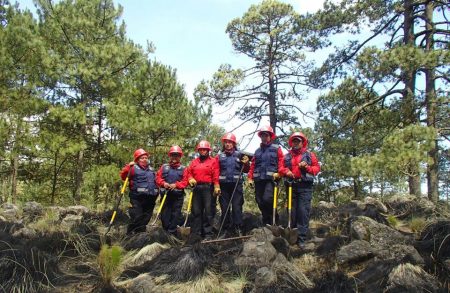 Los Tlalcoyotes: guardianes de los bosques de Milpa Alta