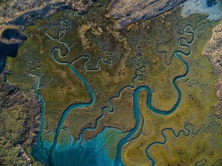 Los humedales de San Quintín son como las venas de la tierra