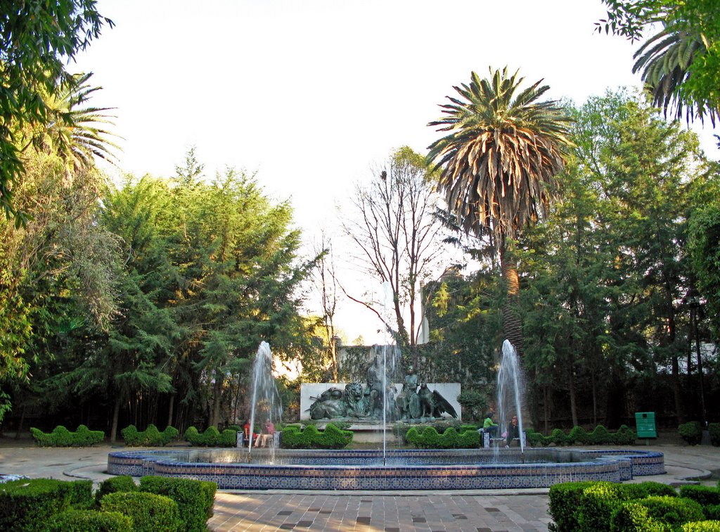 El Parque Xicoténcatl, un exquisito refugio de árboles en Coyoacán