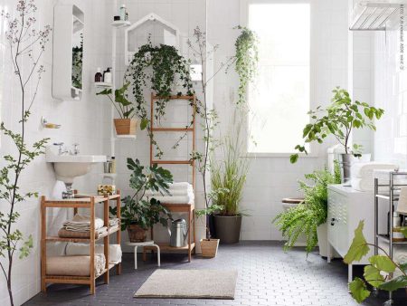 5 plantas que te ayudarán a purificar el aire de tu departamento