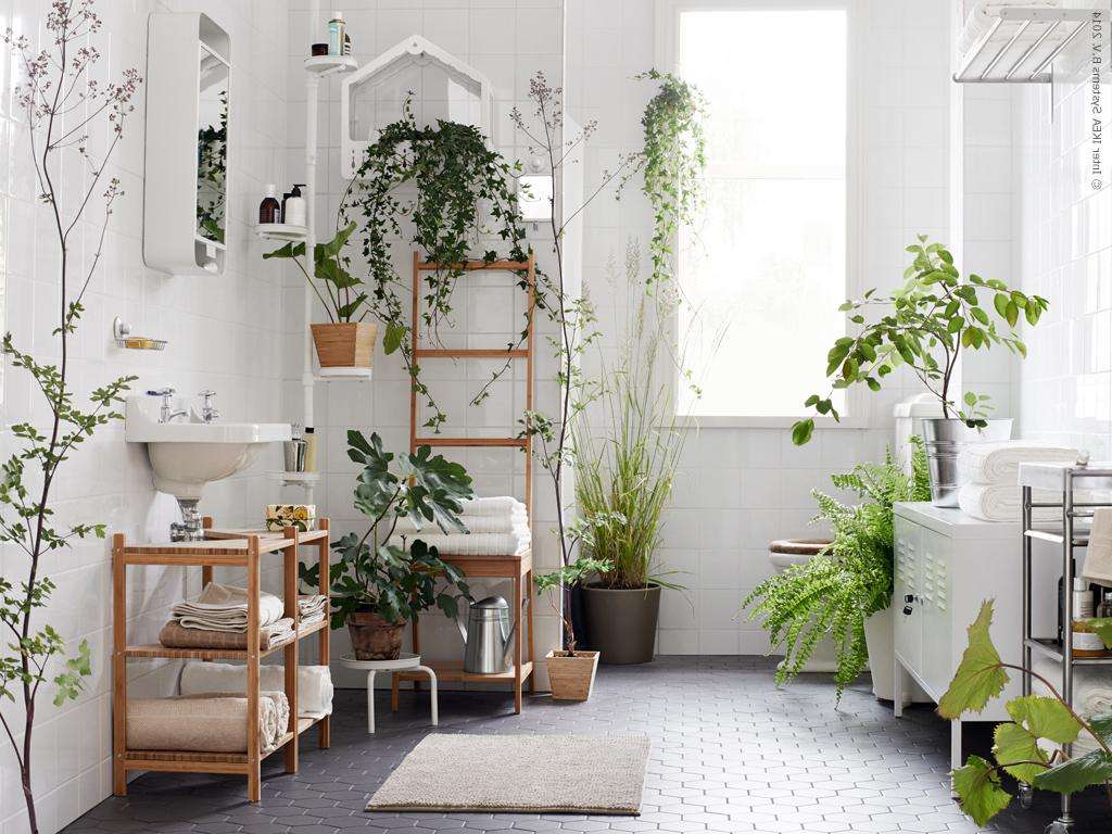 5 plantas que te ayudarán a purificar el aire de tu departamento