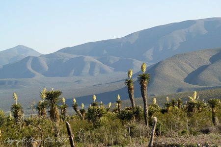 Miquihuana, la zona más alta de la Sierra Madre Oriental