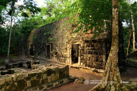 Descubren dos nuevos palacios mayas en Kulubá, Yucatán