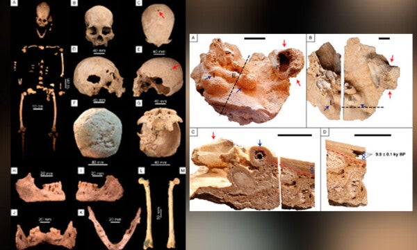 Ixchel: los huesos de una mujer de 10 mil años de antigüedad en México