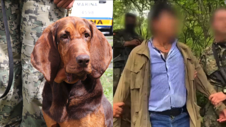 Max, la perrita de la Marina que encontró a Caro Quintero entre matorrales