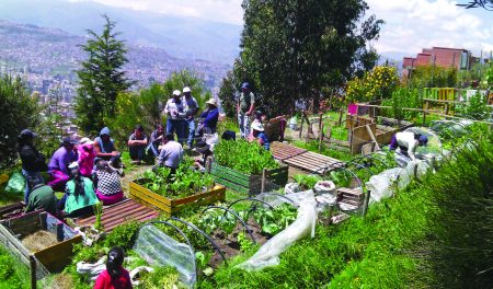 La 1era edición de la Feria de Agricultura Urbana se llevará a cabo en Tláhuac