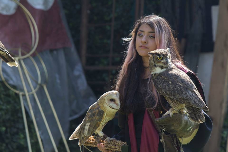 Festival de Magia y Hechicería para los amantes del ilusionismo en la ciudad