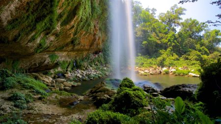 Selva Lacandona, el pulmón más diverso y exuberante de México