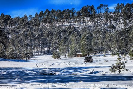 Miquihuana: la joya blanca de la zona alta de la Sierra Madre