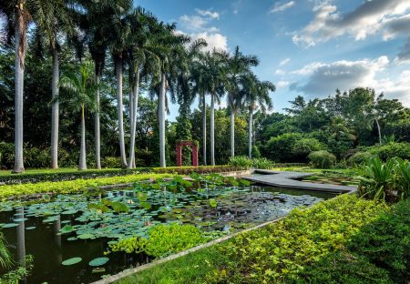 El Jardín Botánico de Culiacán gana premio en el City Nature Challenge 2022