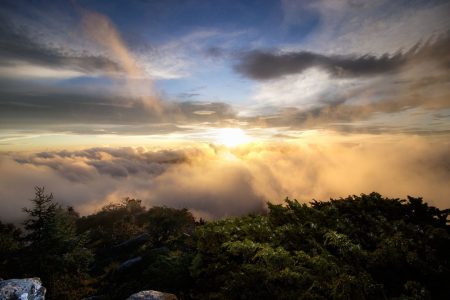 El Parque Natural El Rey te brindará un día maravilloso para el ecoturismo