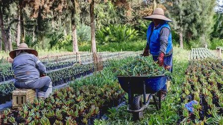 Altepetl,  un loable programa para conservar nuestro patrimonio biocultural