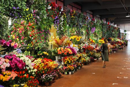 Mercado de Jamaica, uno hito cultural, social, comercial e histórico