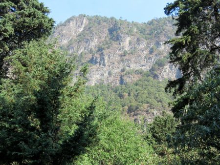 Bosque de la Cañada, uno de los pulmones más exuberantes de la CDMX