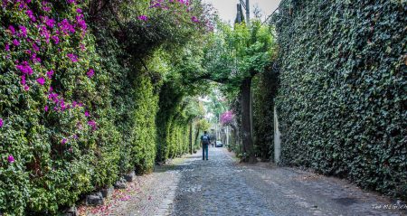 Barrio de San Ángel: un lugar que conserva su atmósfera tradicional colonial