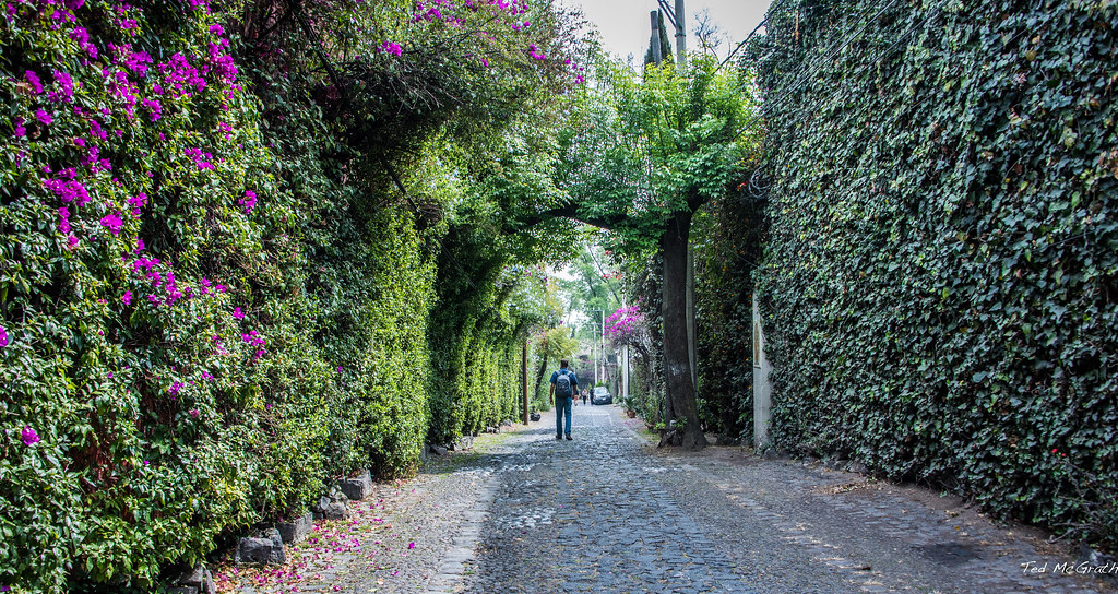 Estas son las calles peatonales más bellas de la Ciudad de México