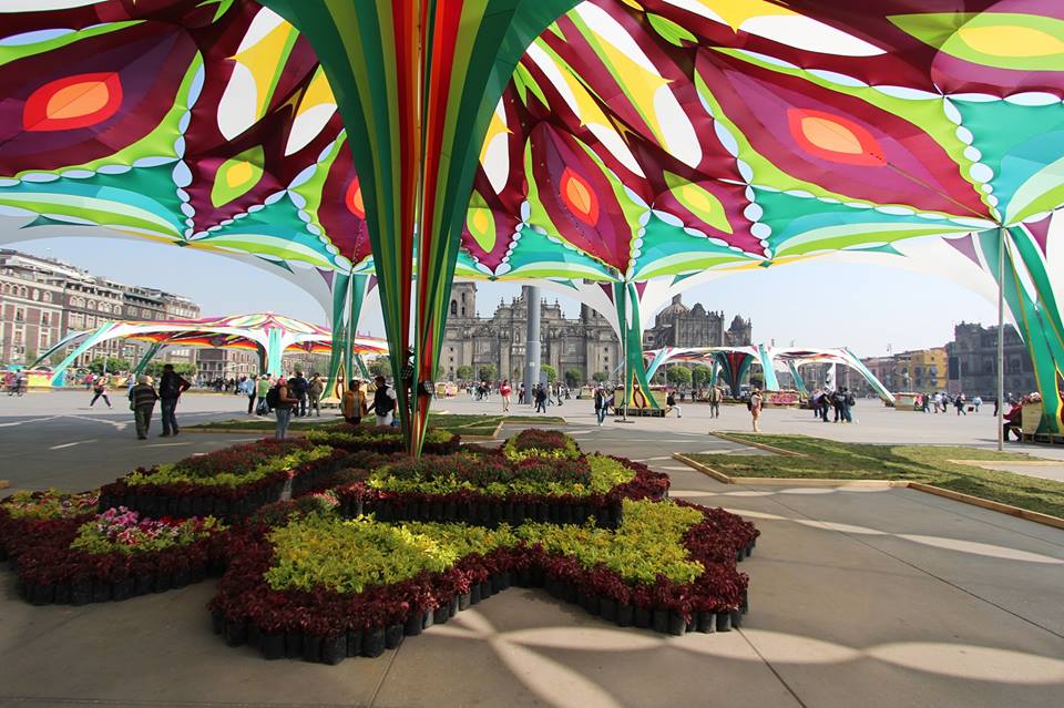 Conoce la impresionante instalación de flores gigantes en el Zócalo