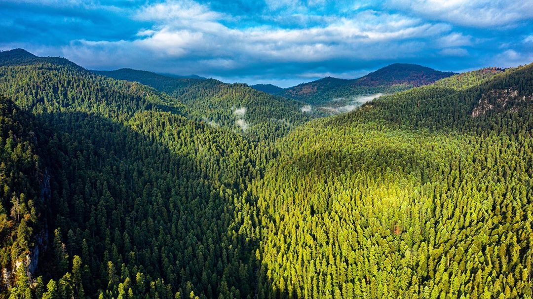 Fotos de la naturaleza en la CDMX que te harán creer que es otro lugar del mundo