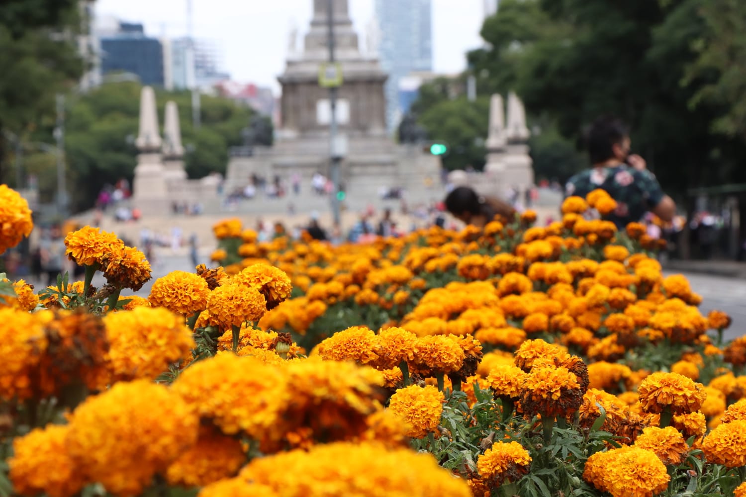 Festival Cempasúchil, música, desfile y tradición para el Día de muertos en la CDMX