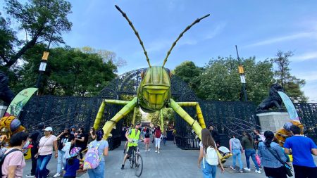 Regresa el inigualable Festival del Bosque de Chapultepec 2024