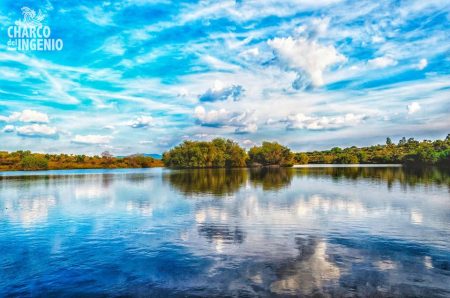 El Charco del Ingenio, un mágico jardín botánico en la Reserva Natural de San Miguel