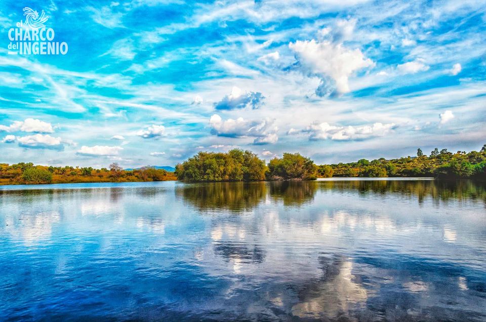 El Charco del Ingenio, un mágico jardín botánico en la Reserva Natural de San Miguel