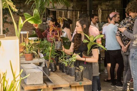 Botánica Juárez Vol. 2: el festival citadino para los amantes de las plantas