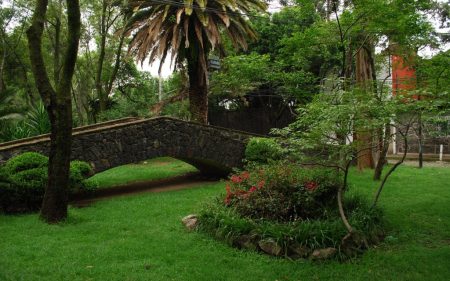 Parque Protasio Tagle, un pequeño y pintoresco oasis en Chimalistac