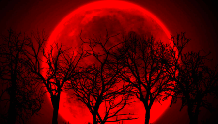 Una Luna de Sangre aparecerá en la CDMX en noviembre