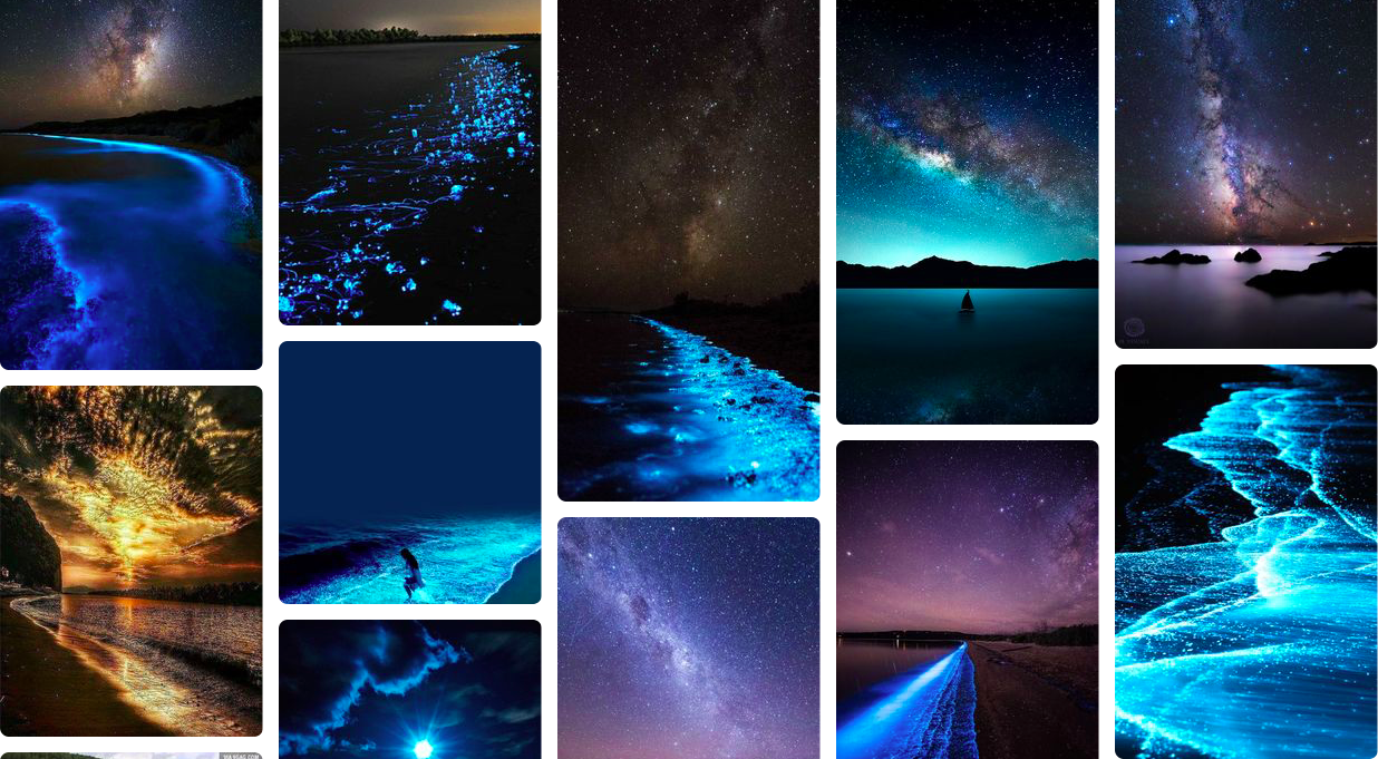 Destellos de madrugada: algunas playas bioluminiscentes en México (FOTOS)