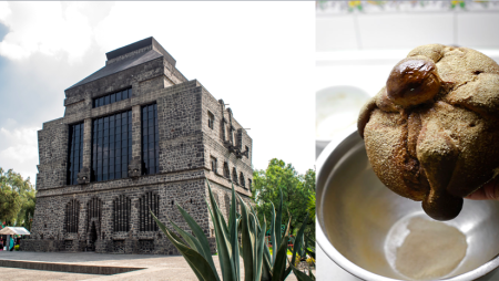 Museo Anahuacalli presenta el delicioso Festival del Chocolate y Pan de Muerto