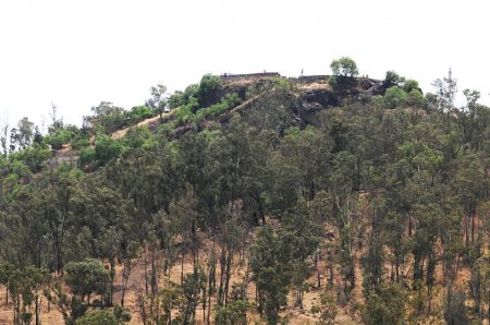 Comienza la mega reforestación del Cerro de la Estrella