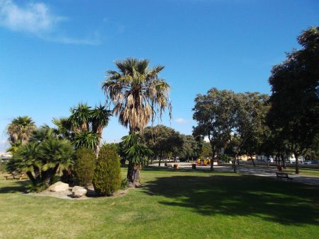 Parque San Fernando, un refugio verde al sur de la ciudad por Sembrando Parques