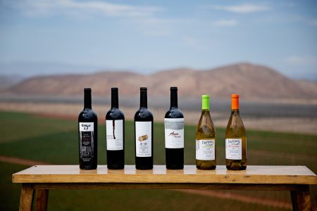 El Día del Vino Mexicano es una nueva celebración a nivel nacional