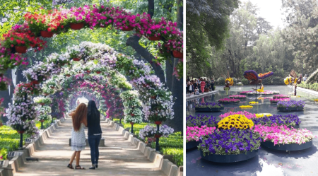 Festival de Flores y Jardines 2024: el festival botánico más hermoso de la CDMX